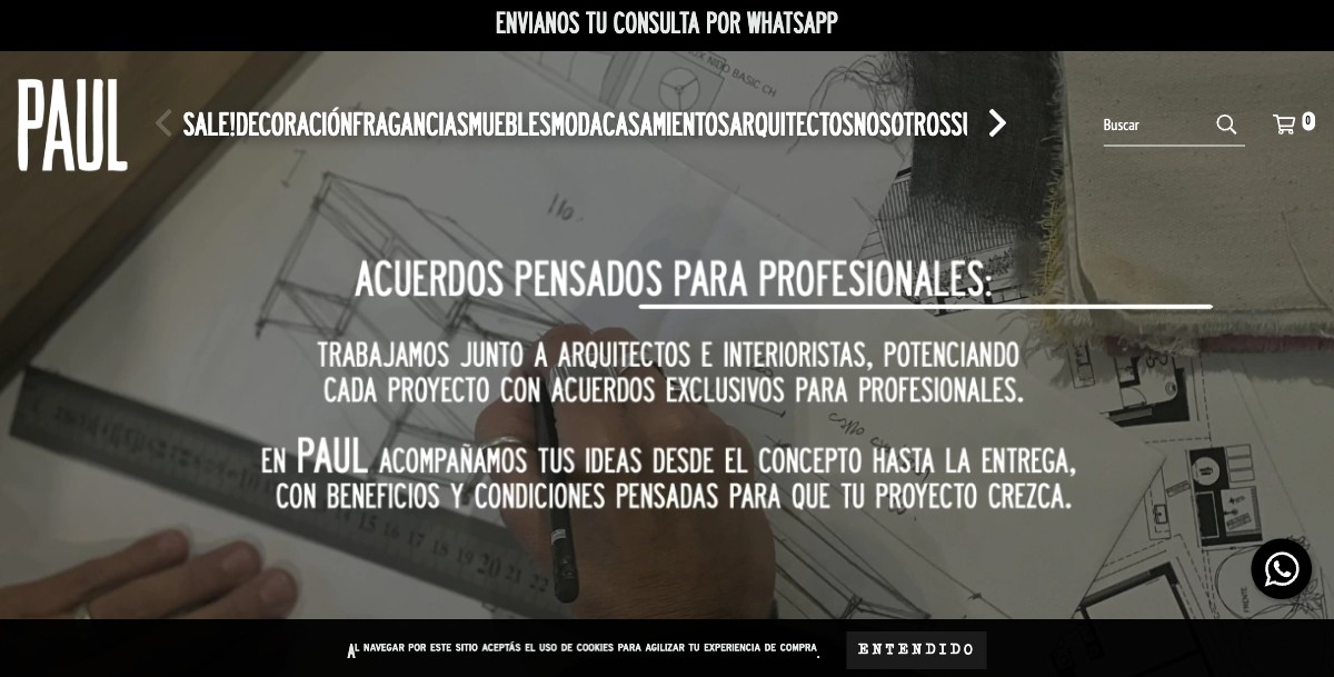 Captura del proyecto de Pauldeco